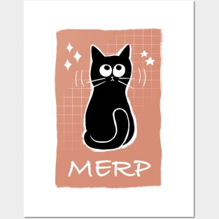 MERP Confused Cat Posters and Art